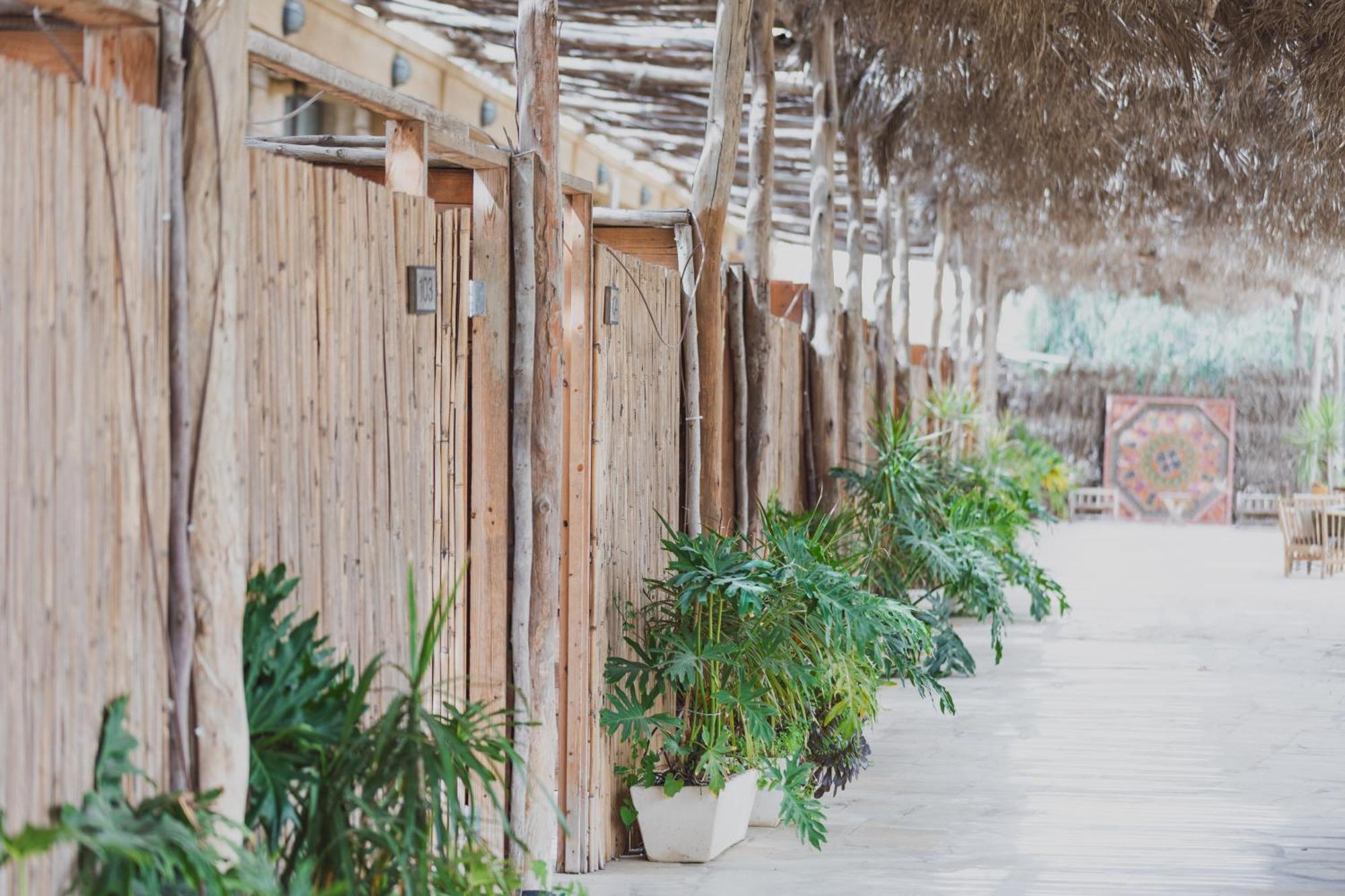 Selina Desert Garden Ramon Mitzpe Ramon Exterior foto